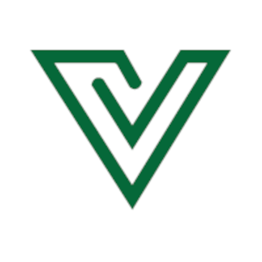 Logo of Verion Limited