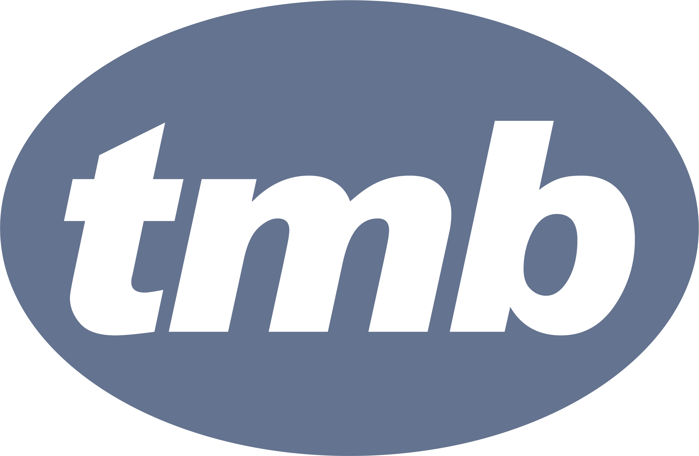 Logo of TMB Systems Ltd